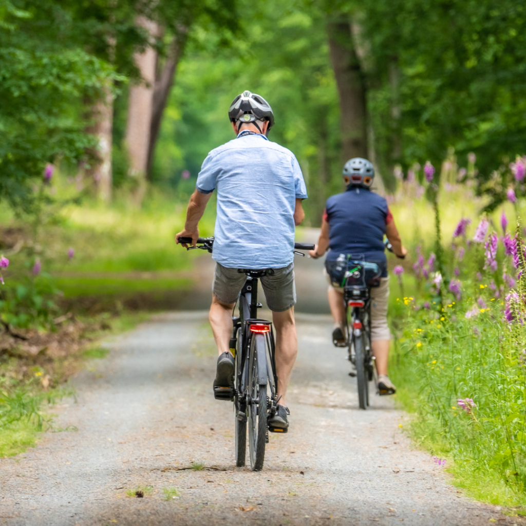 Dwie osoby jadące na rowerach po leśnej ścieżce, otoczonej zielenią i kwitnącymi kwiatami. Relaksująca jazda na rowerze w spokojnym, naturalnym otoczeniu.